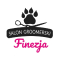 Finezja